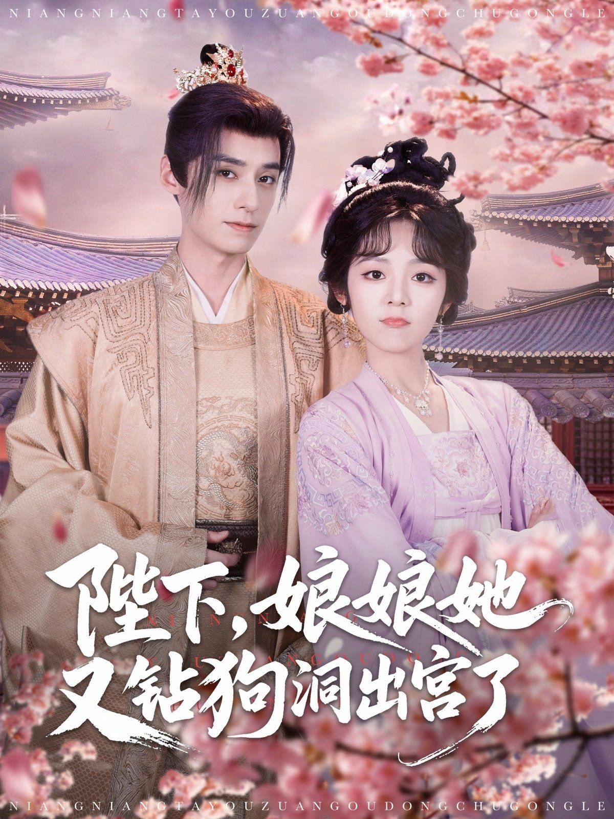 陛下娘娘她又钻狗洞出宫了(全集)