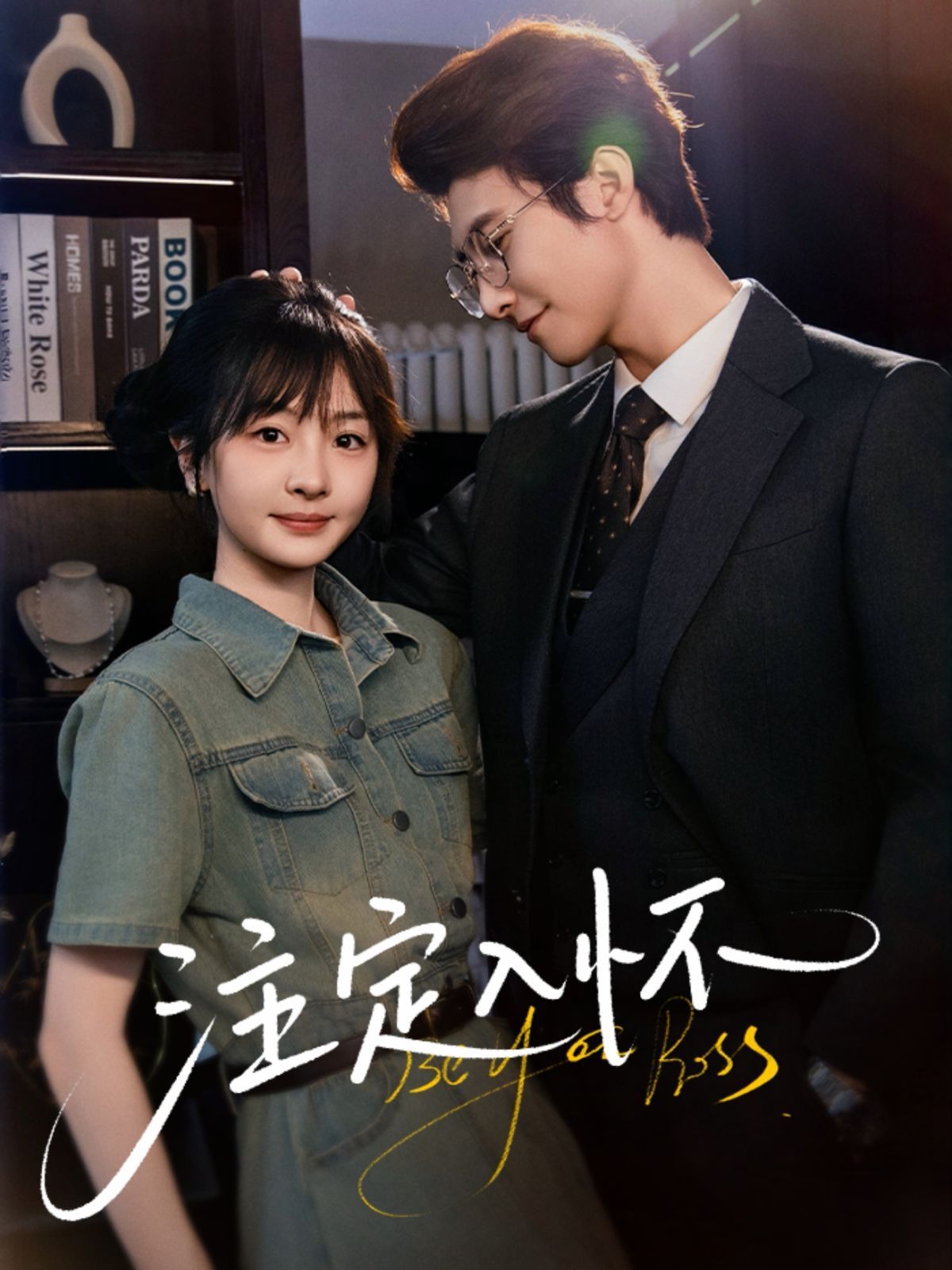 注定入怀全集完结(大结局)