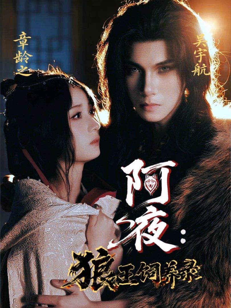 阿夜狼王饲养录全集完结(大结局)