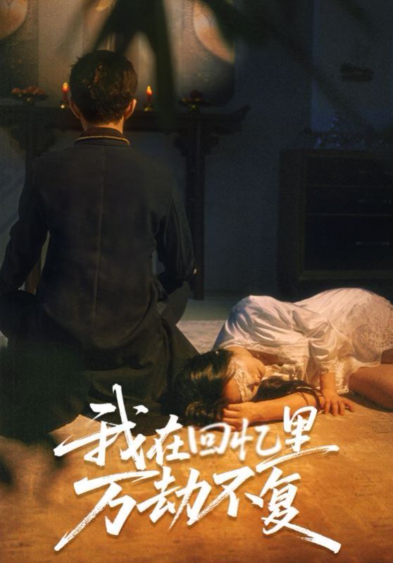 我在回忆里万劫不复(全集)
