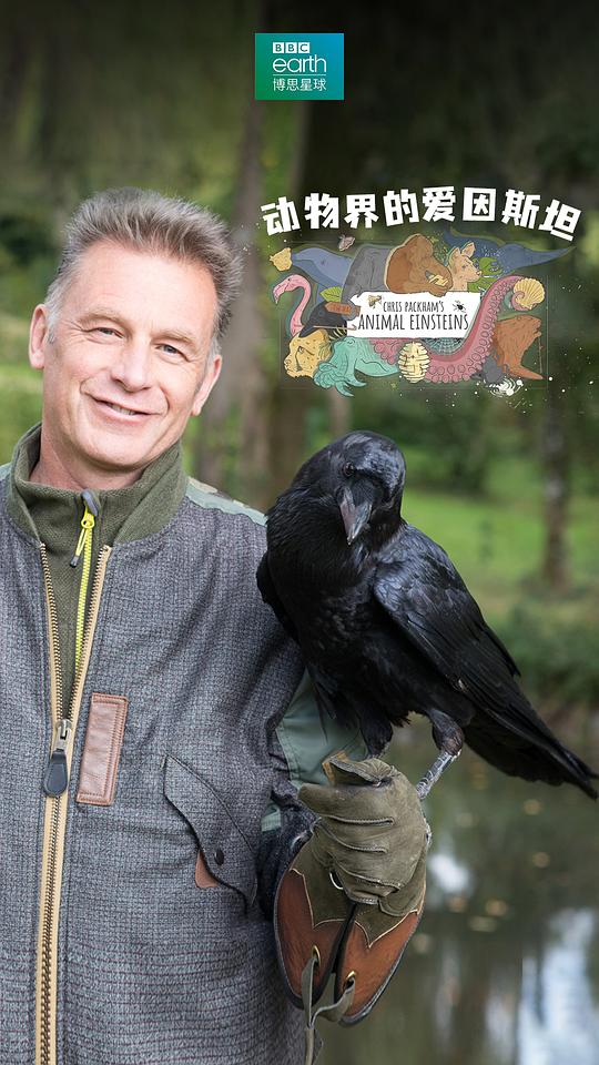 动物界的爱因斯坦第一季(全集)