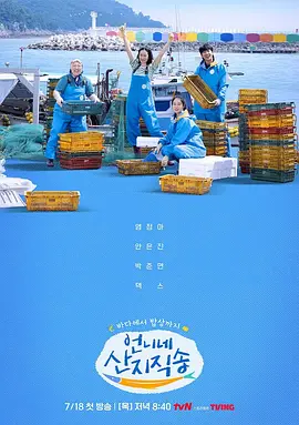 姐姐家的产地直送第20240808期
